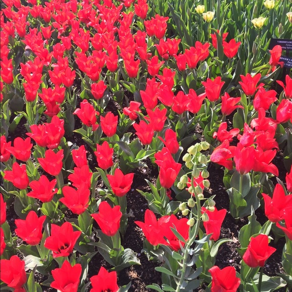 Meet your Posher, Kim - Picture 1 of 1